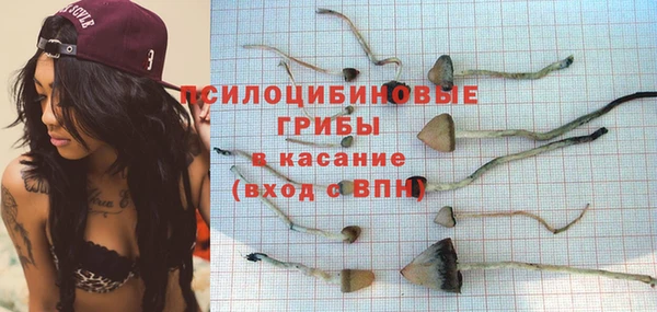 Альфа ПВП Сатка