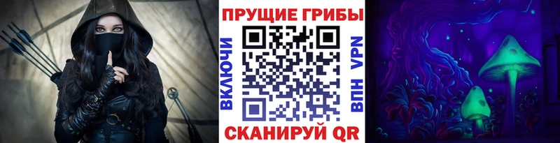 Псилоцибиновые грибы GOLDEN TEACHER  купить   Дубна 