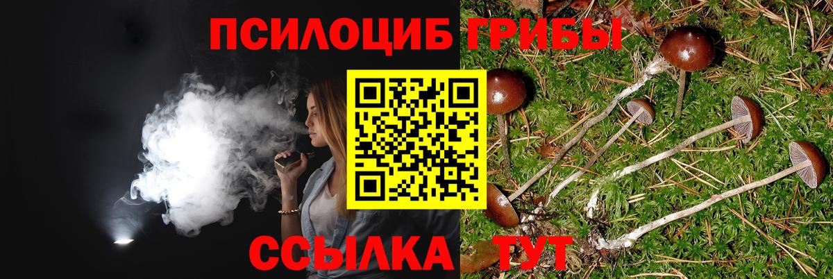 Дубна  Галлюциногенные грибы ЛСД  Вход с VPN 