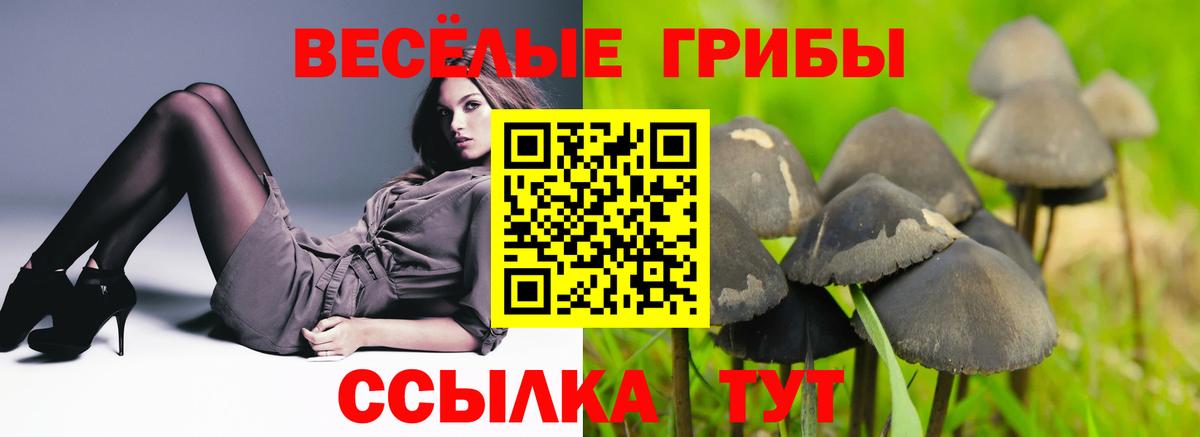 Псилоцибиновые грибы мицелий Дубна