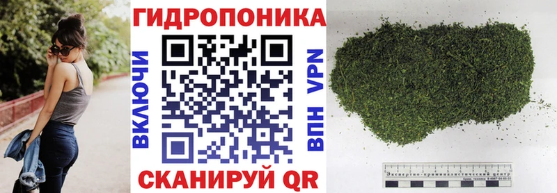 МАРИХУАНА гибрид Дубна
